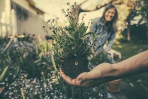 gardening home care